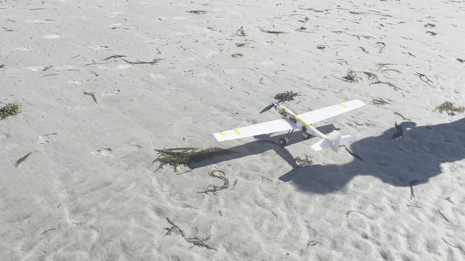 Sandpiper RC aircraft resting on wet sand